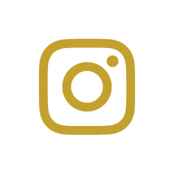 Instagram icon