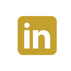 LinkedIn icon