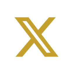 X icon